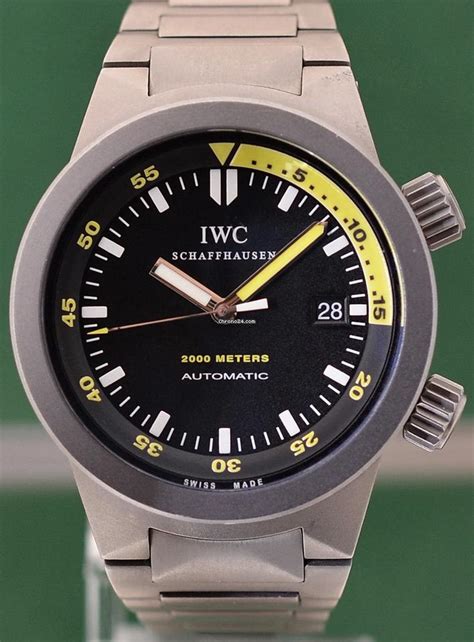 IWC Aquatimer Automatic 2000 Titanium / Titanium 